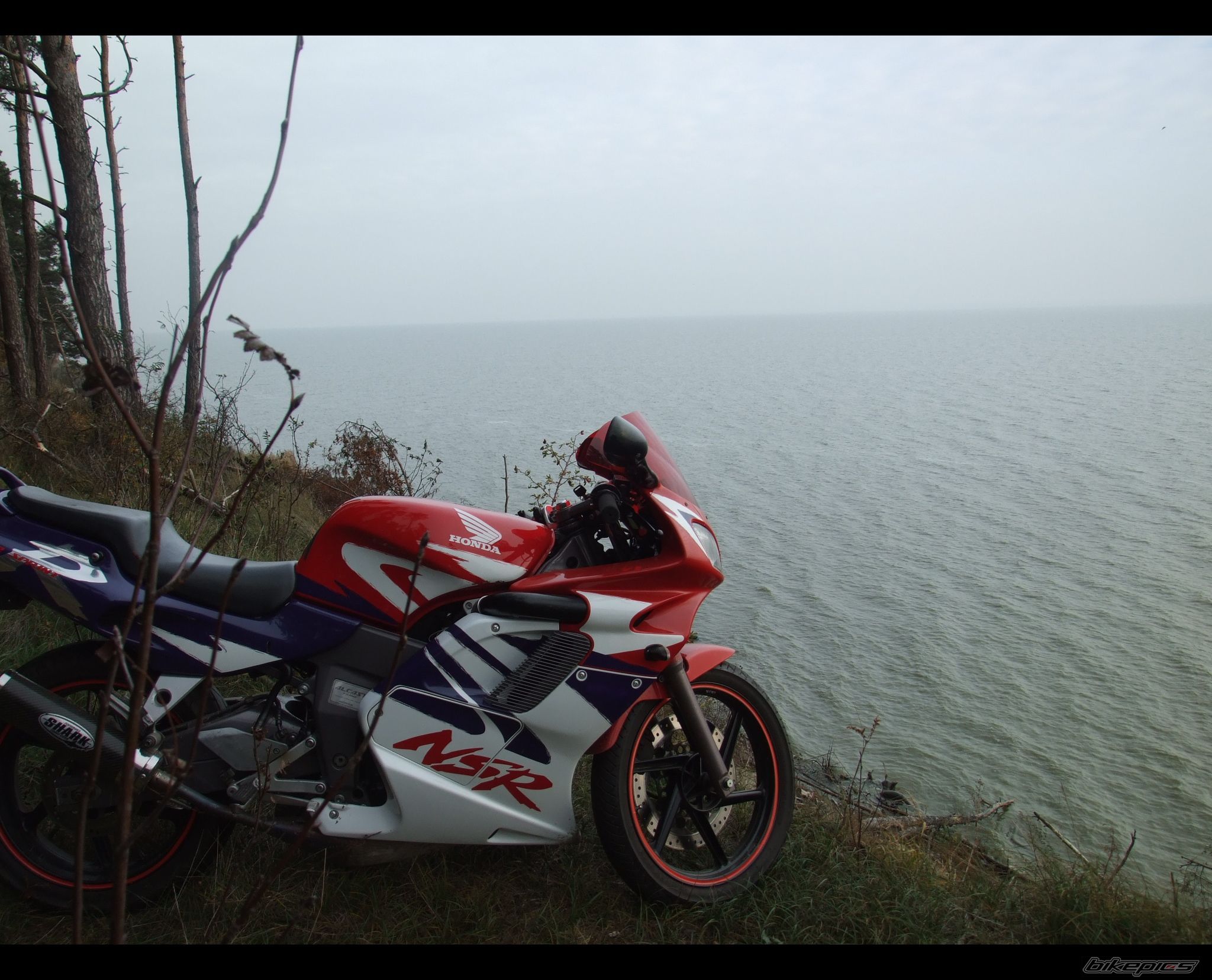 Photo 1461258