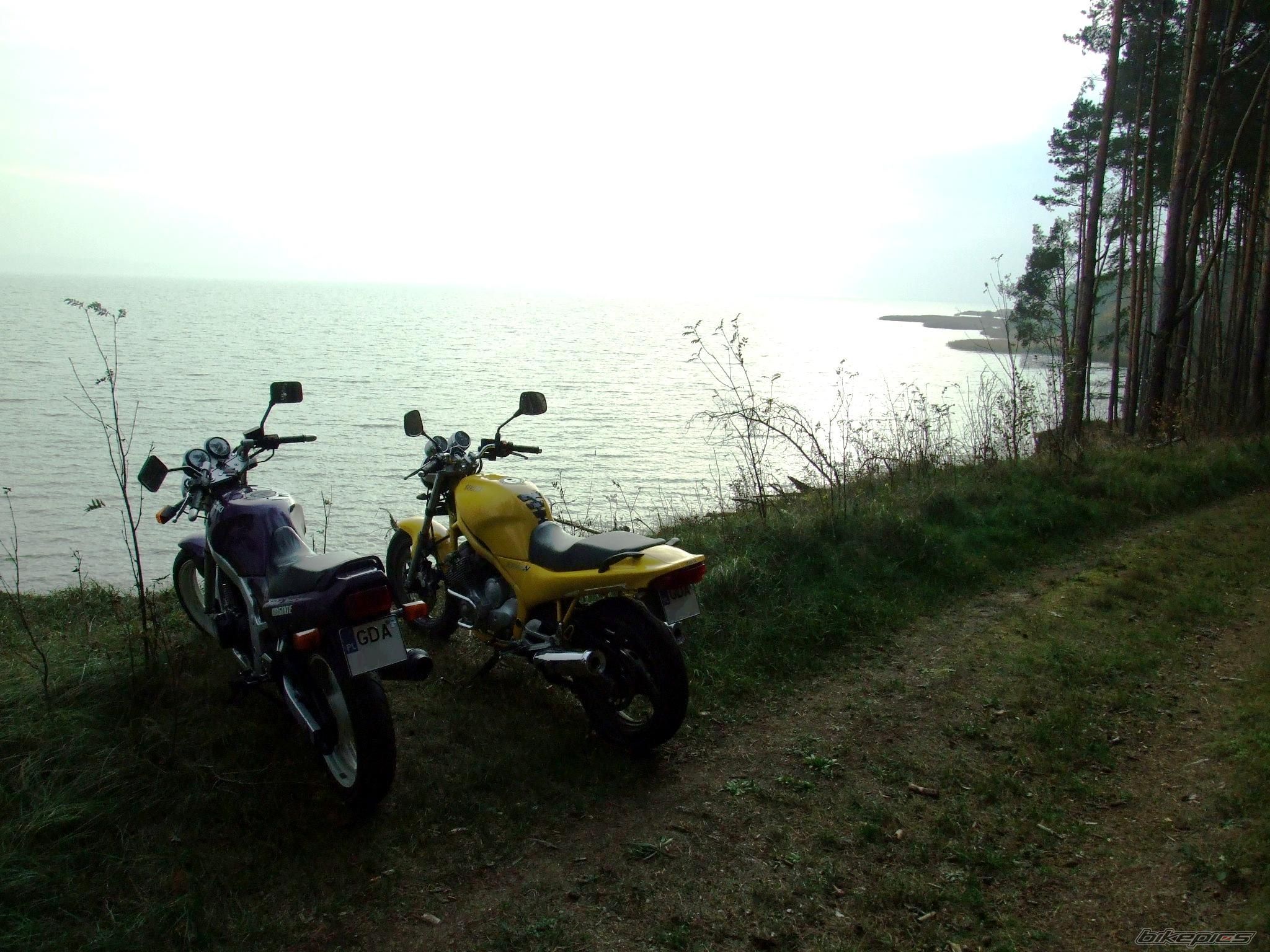 Photo 1461262
