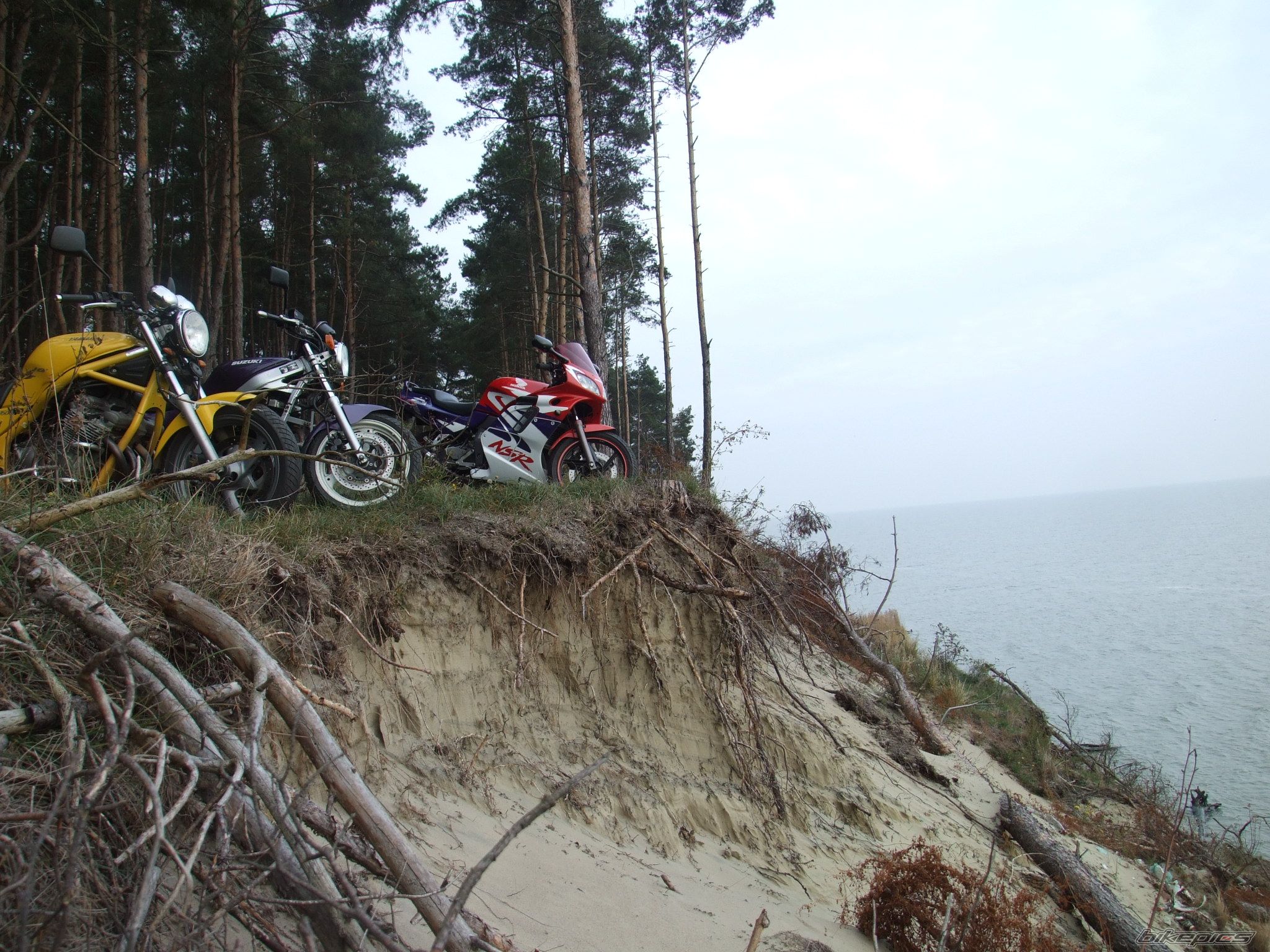 Bike Photo 1461264