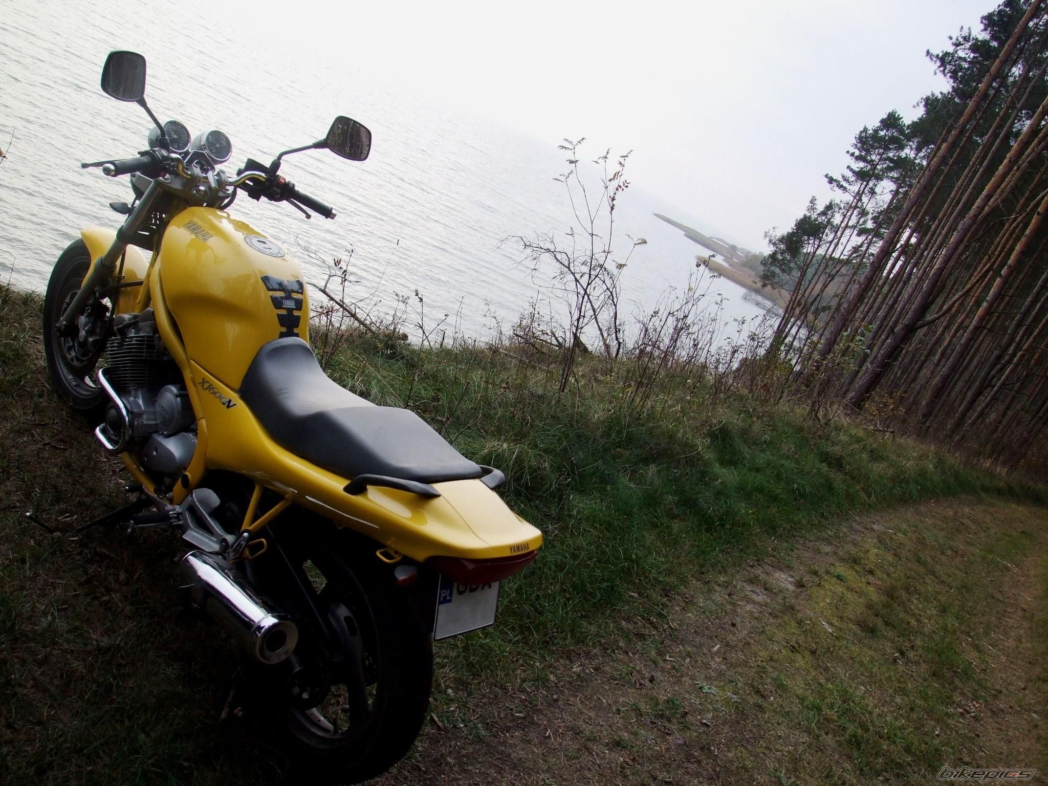 Photo 1461284