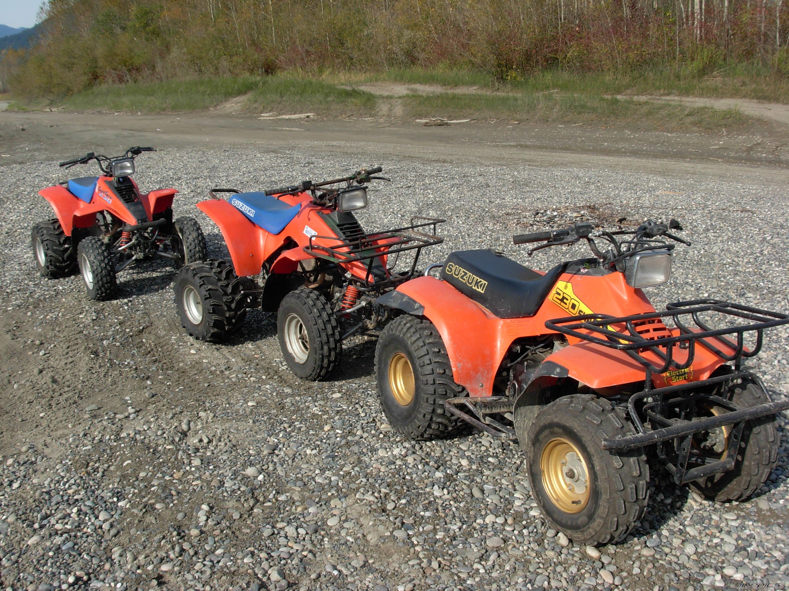 Photo 1461298