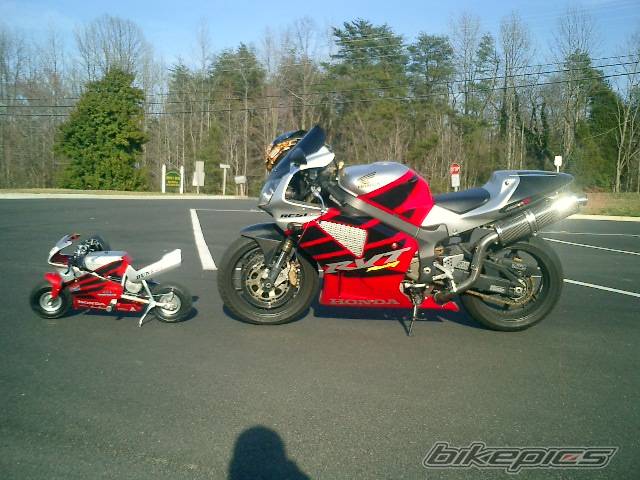 Photo 146131