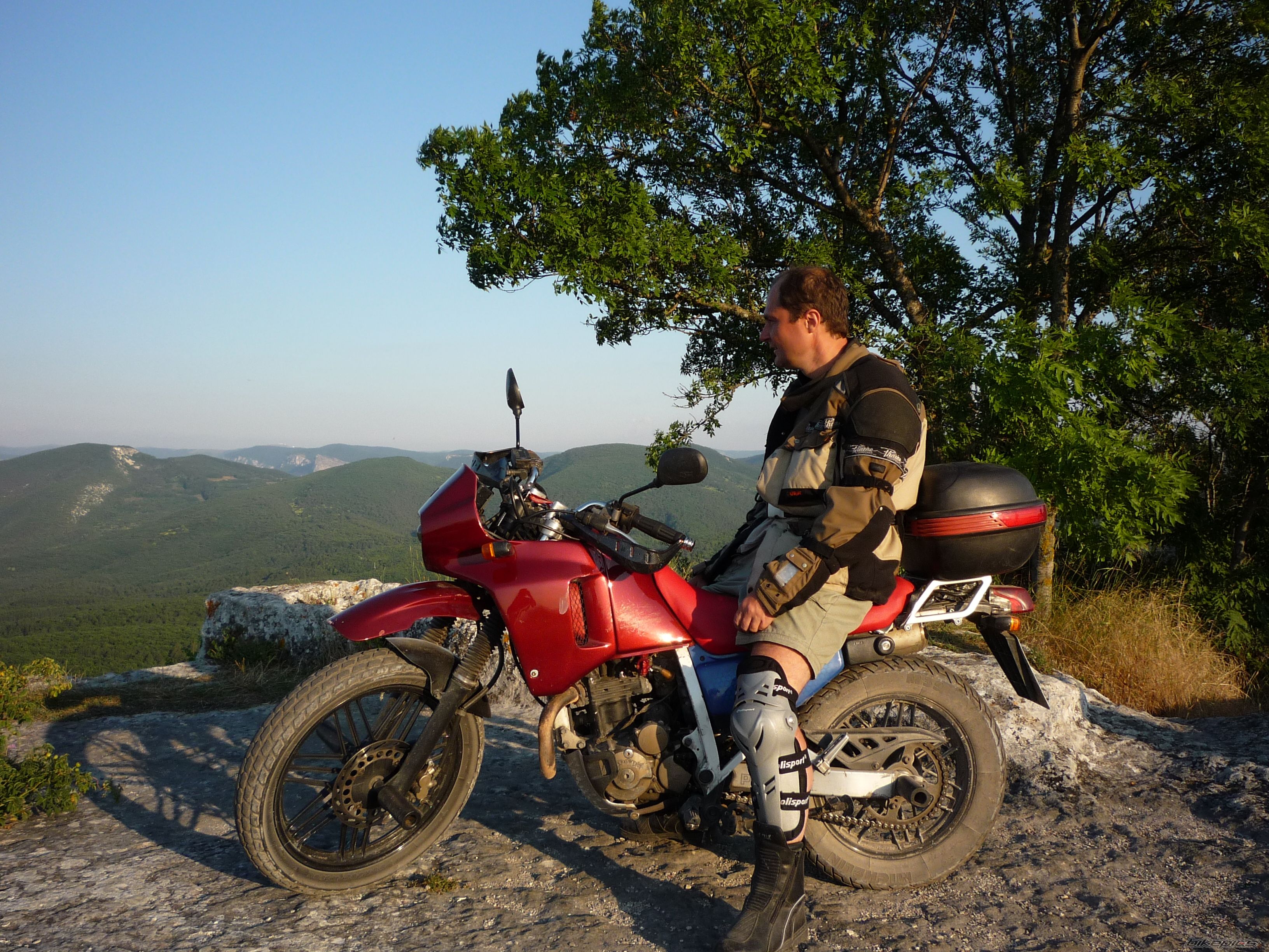 Photo 1461326