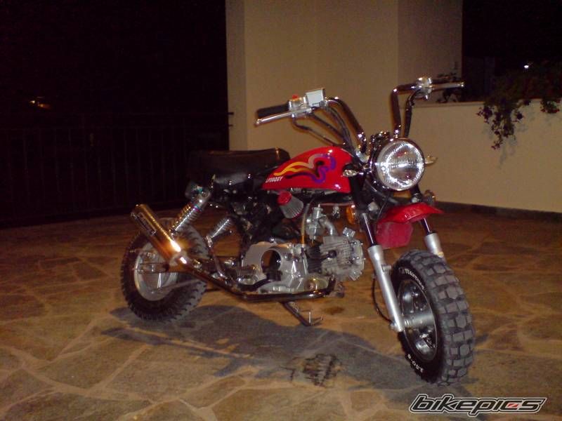 Photo 1461333
