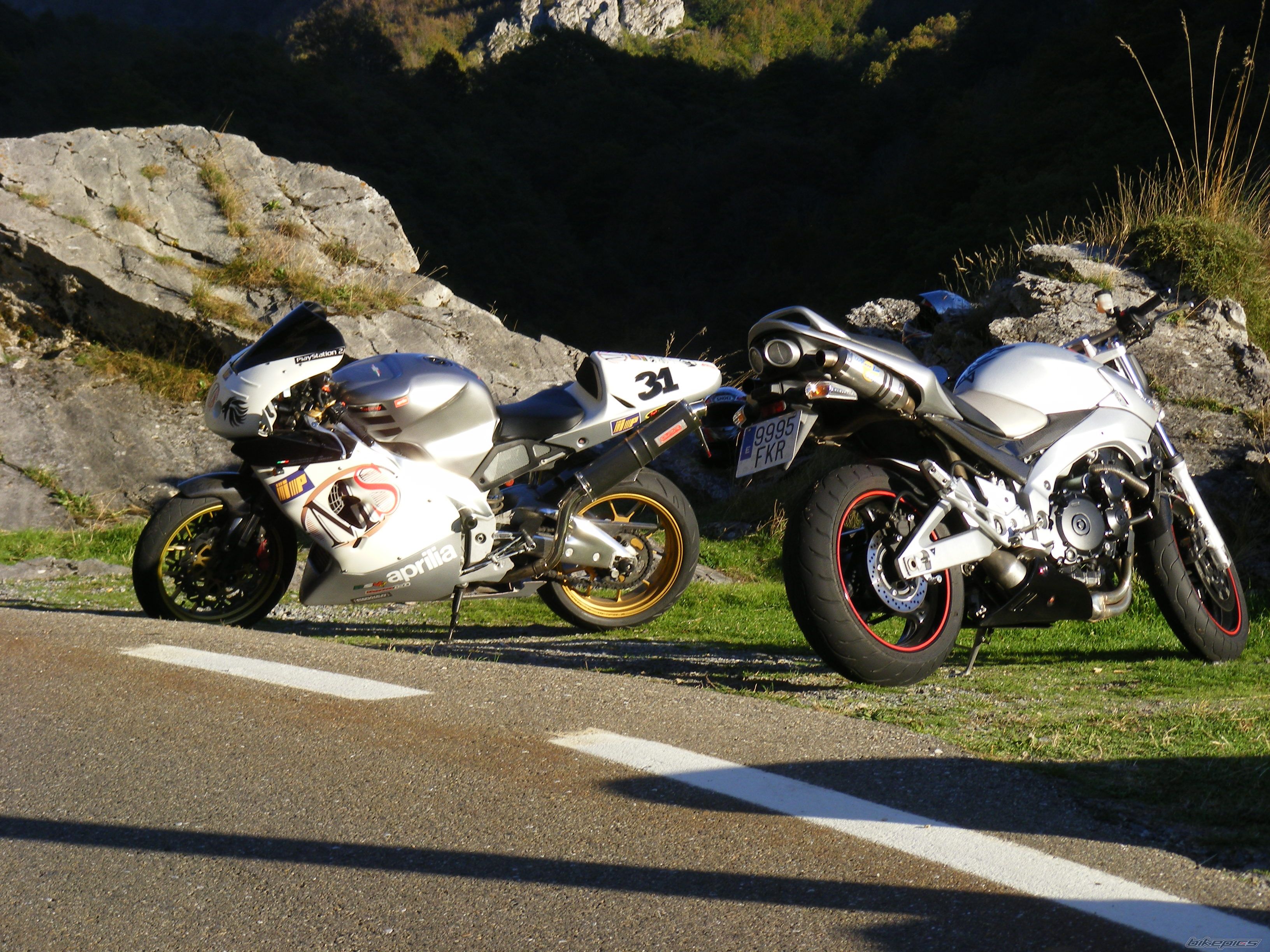 Photo 1461352