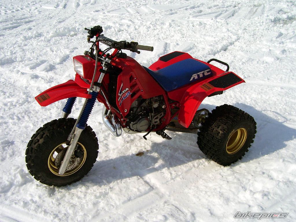 Photo 1461364