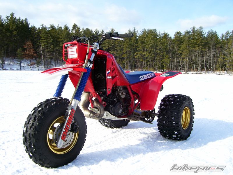 Photo 1461374