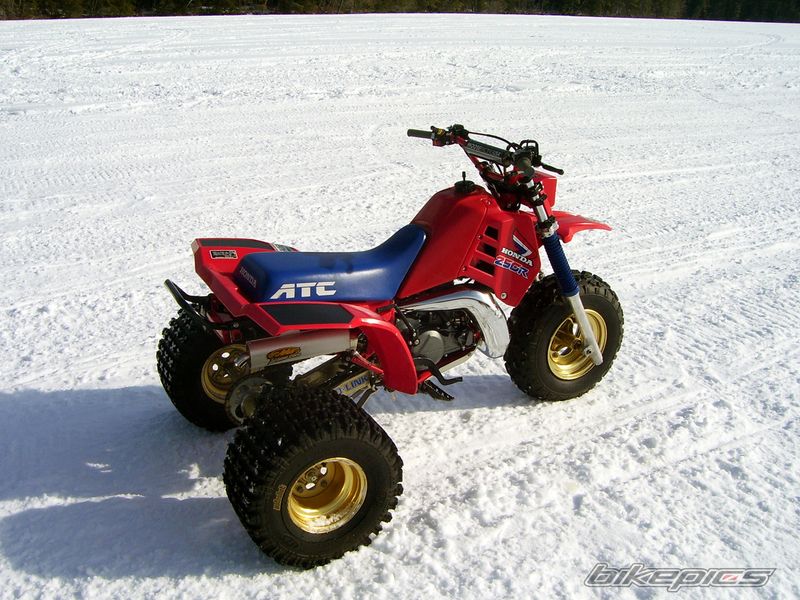 Photo 1461377