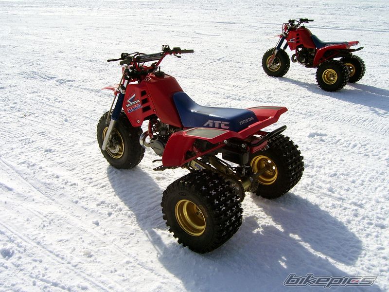 Photo 1461383