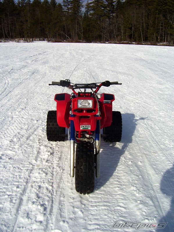 Photo 1461386