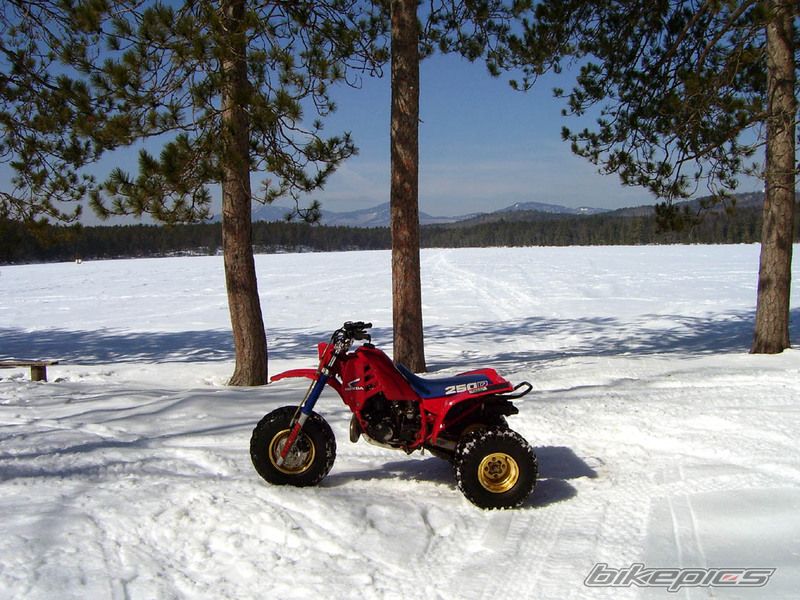 Photo 1461399