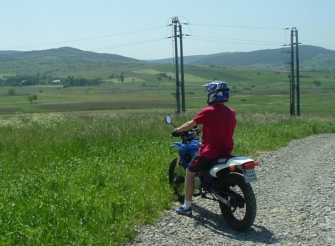 Photo 1461402