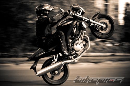 Photo 1461428