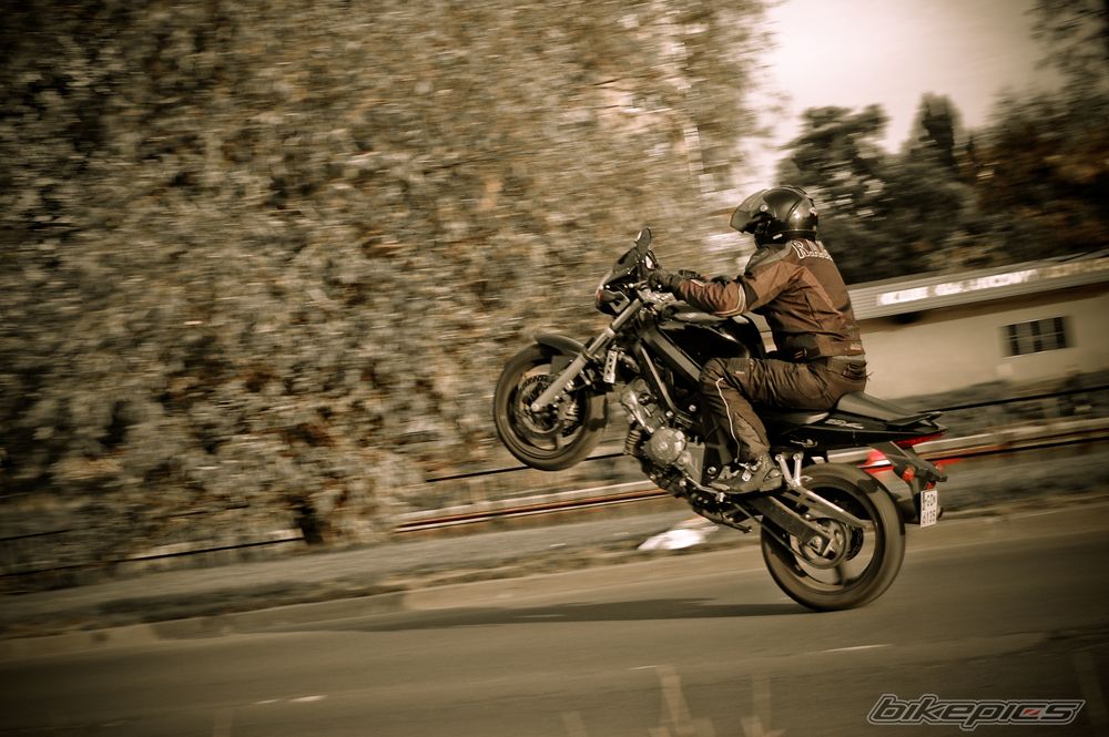 Photo 1461429
