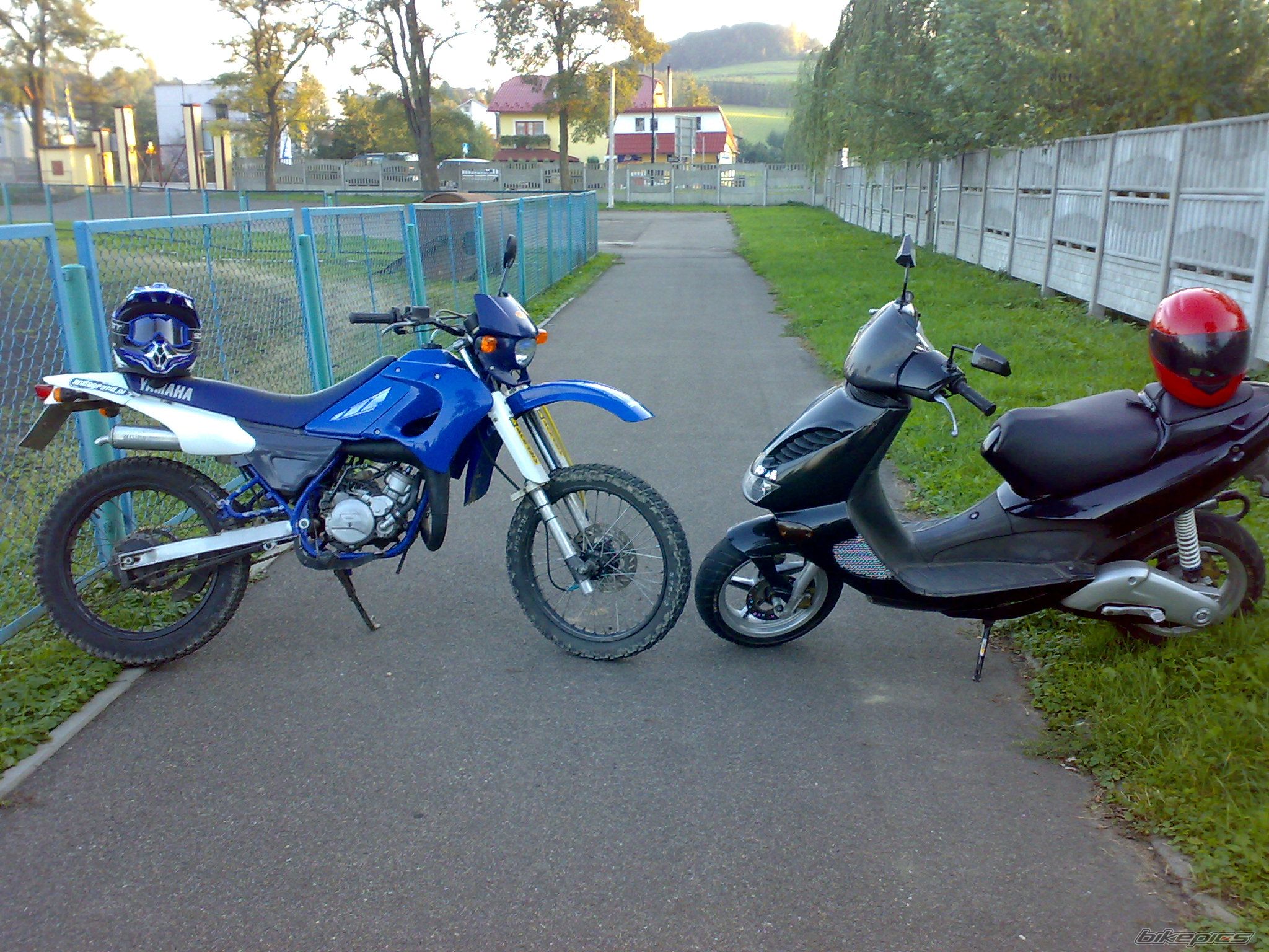 Photo 1461432