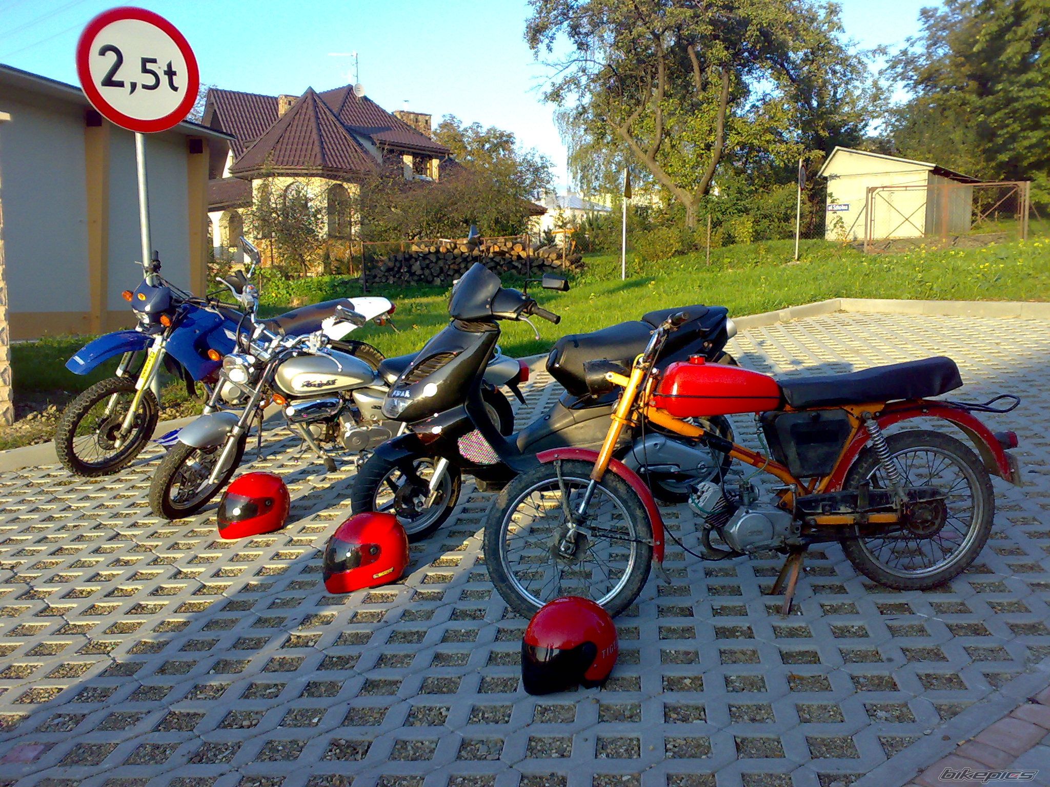 Photo 1461433