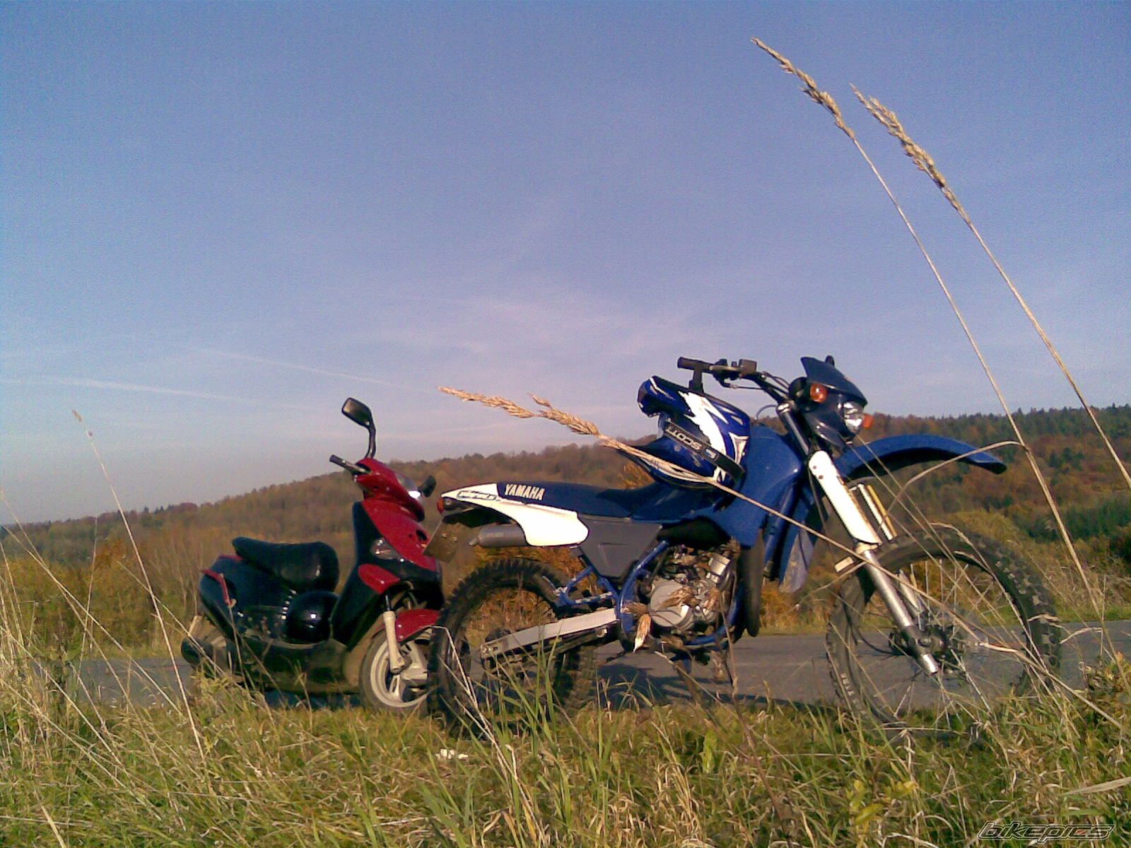 Photo 1461442