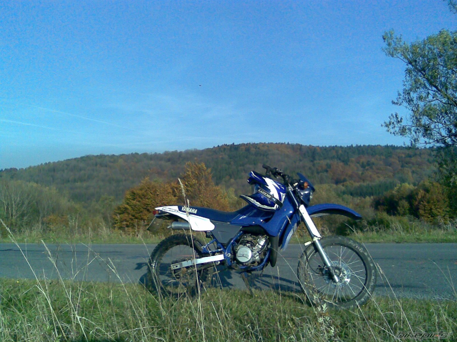 Photo 1461444