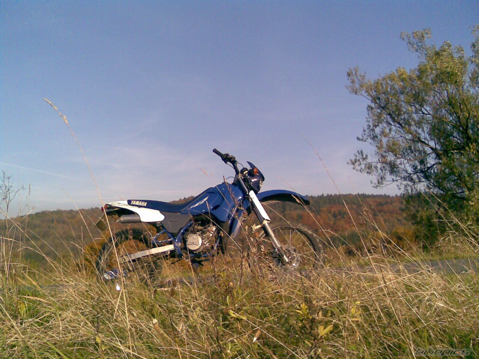Photo 1461445