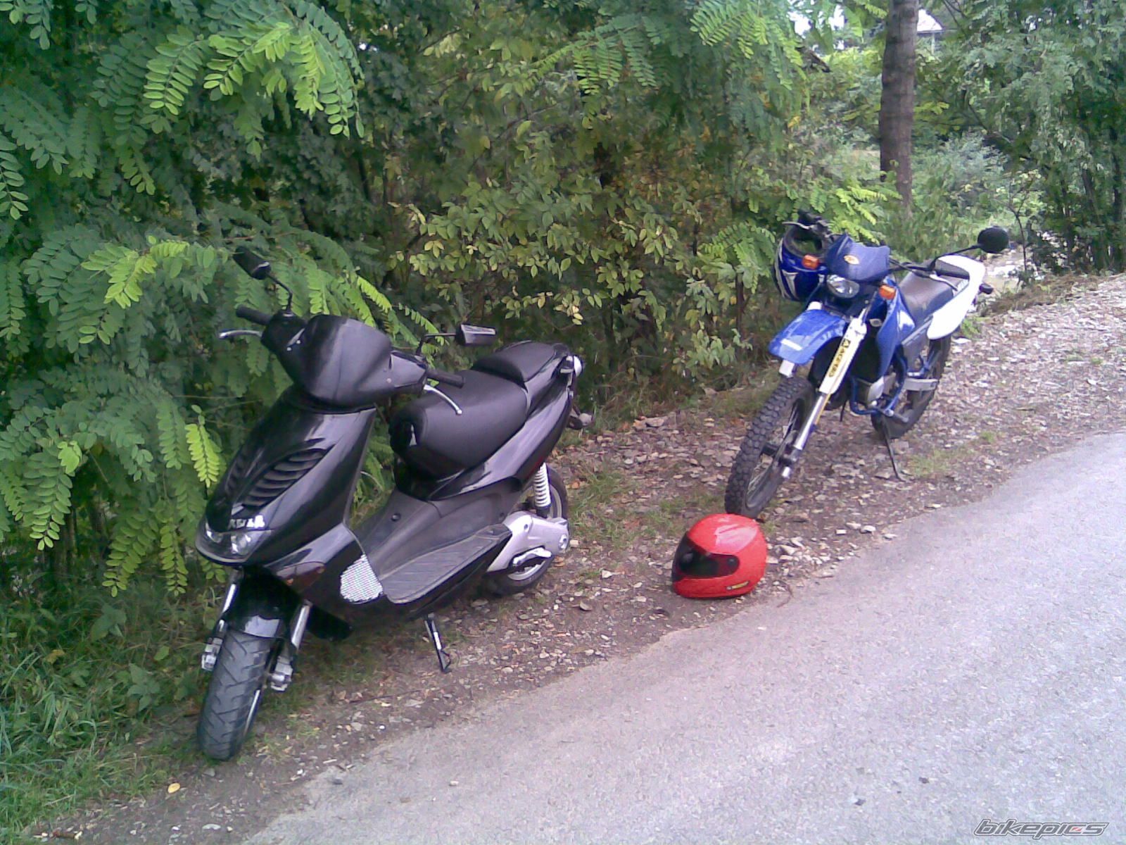 Photo 1461447