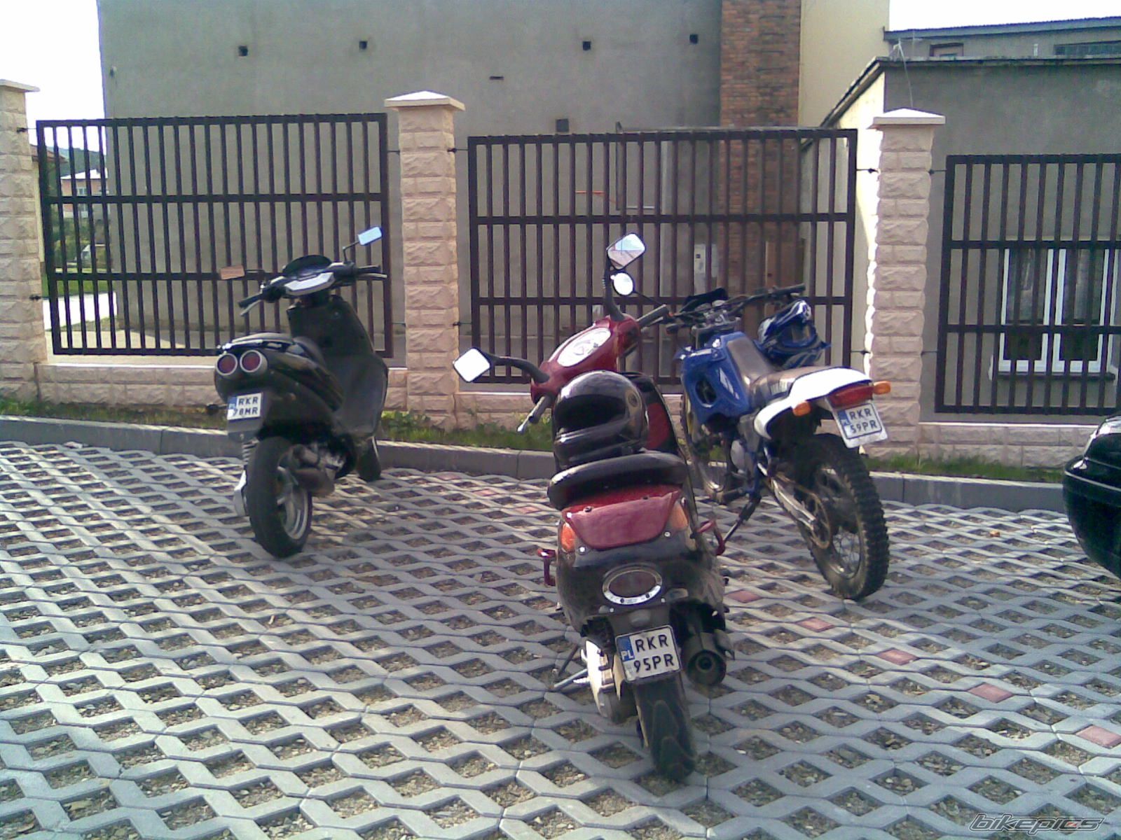 Photo 1461448