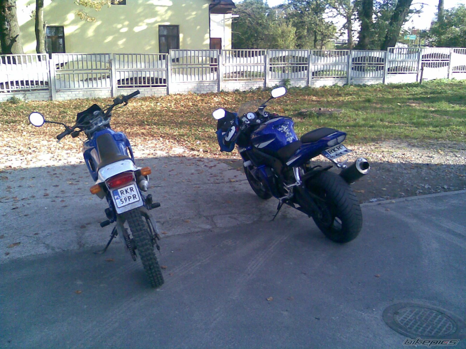 Photo 1461451