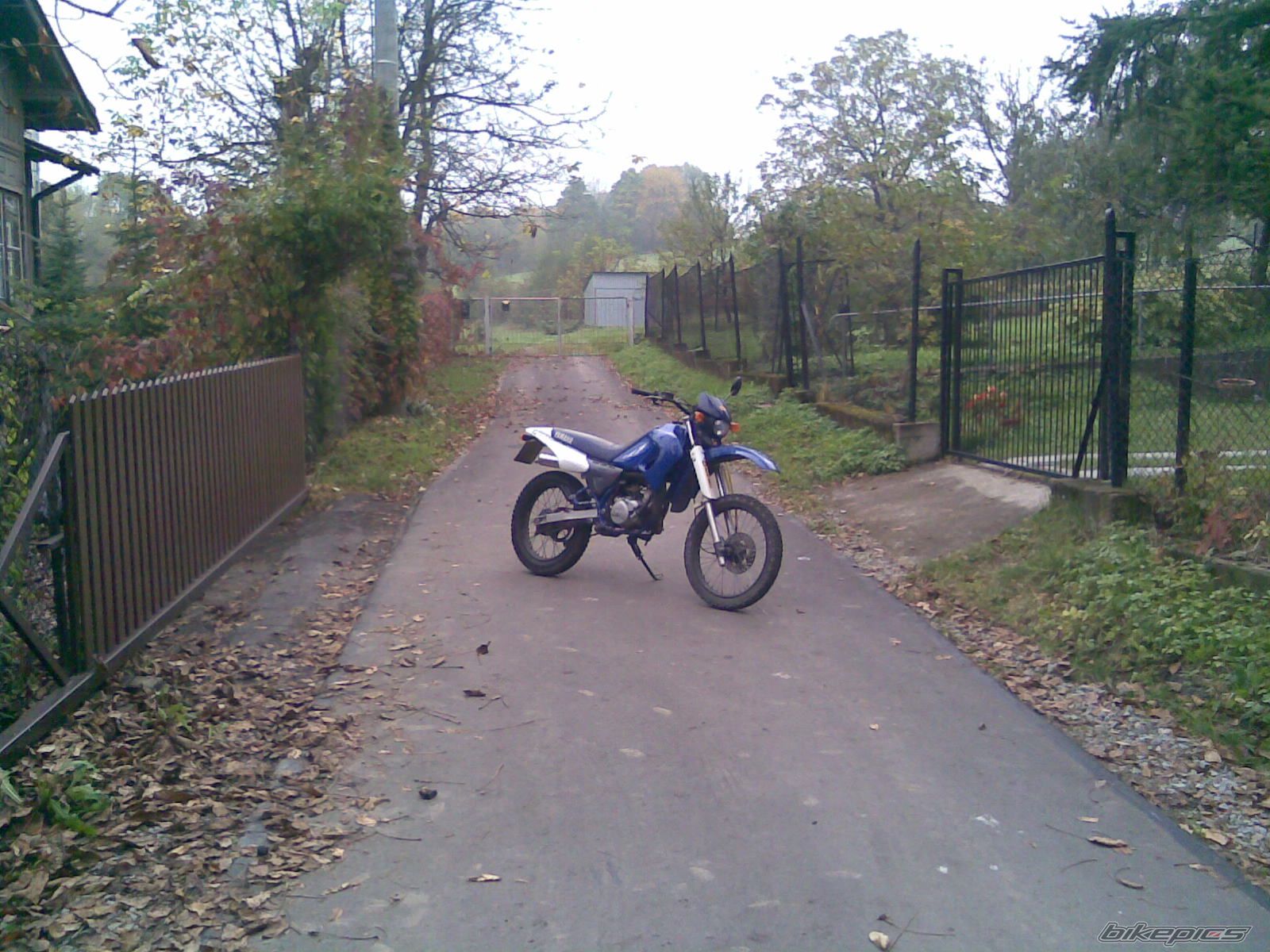 Photo 1461453