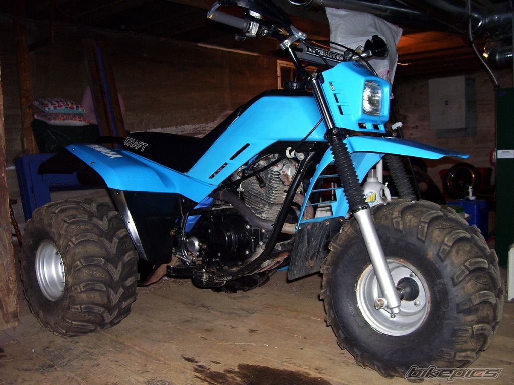Photo 1461469