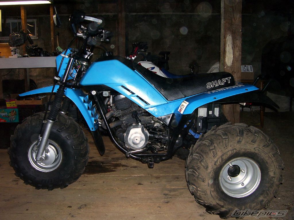Photo 1461474