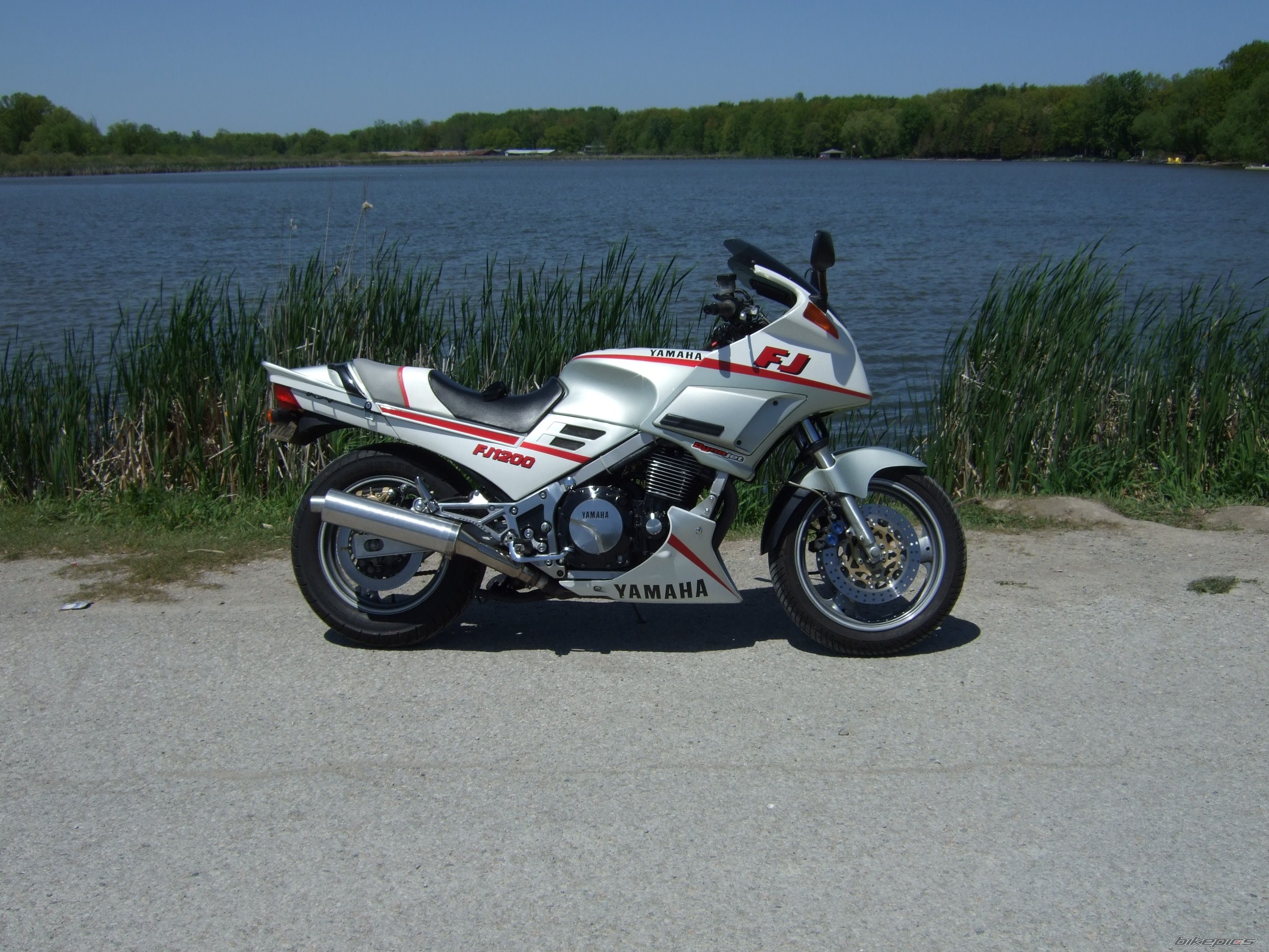 Photo 1461476