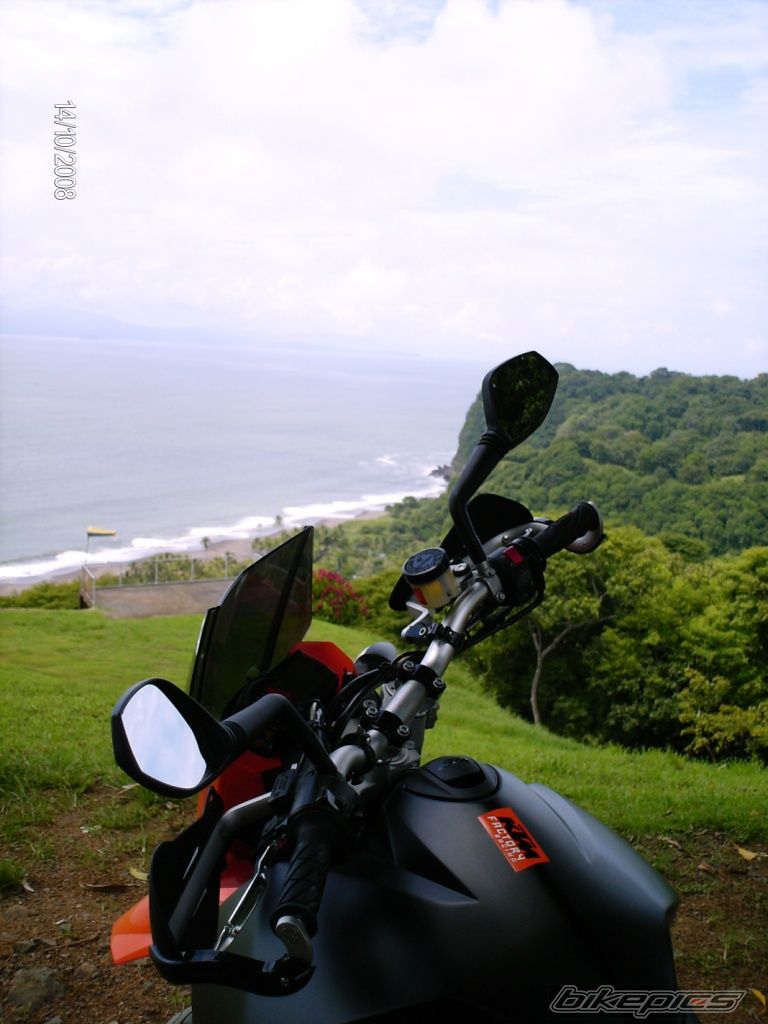 Photo 1461504