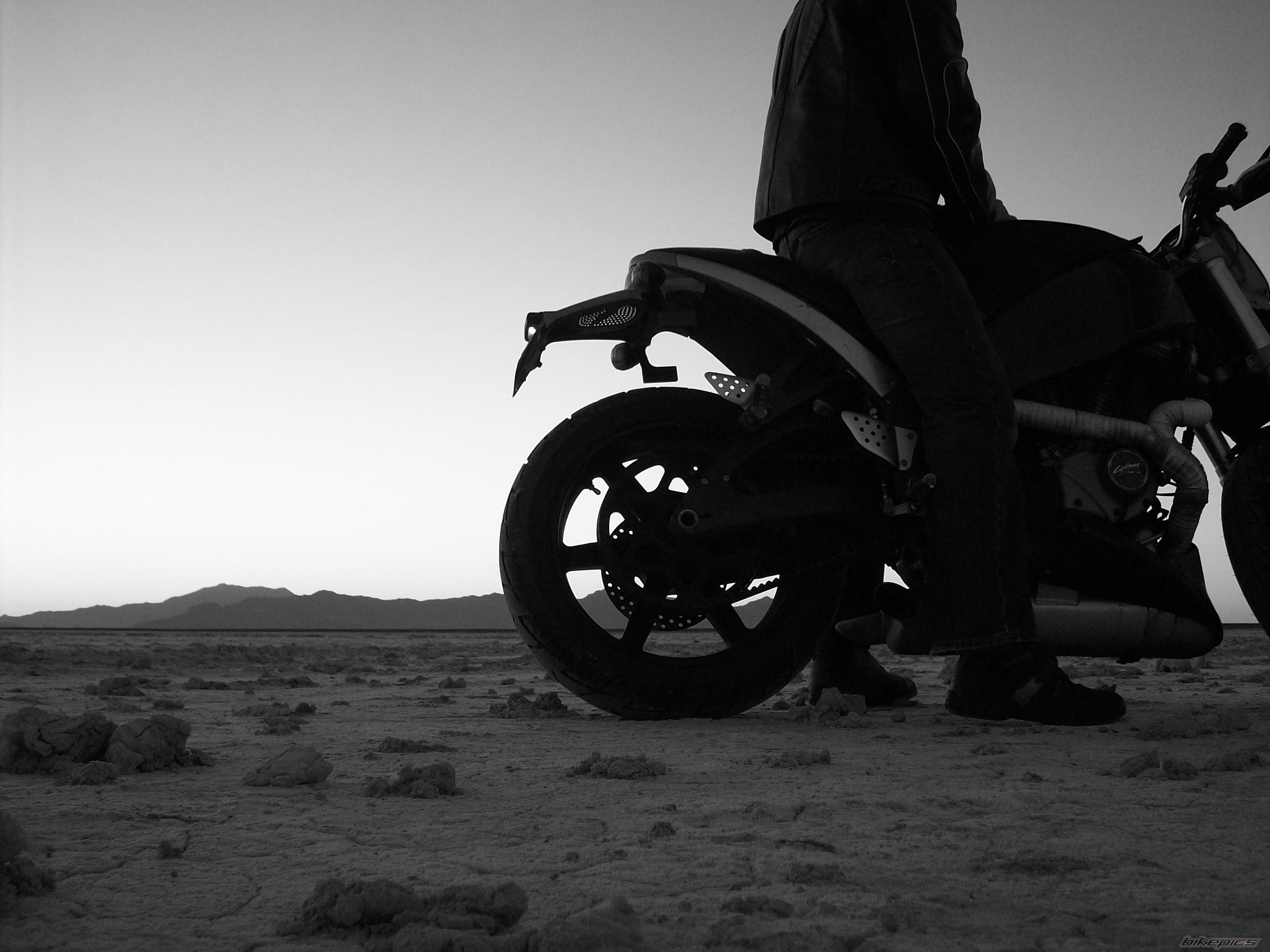 Photo 1461544