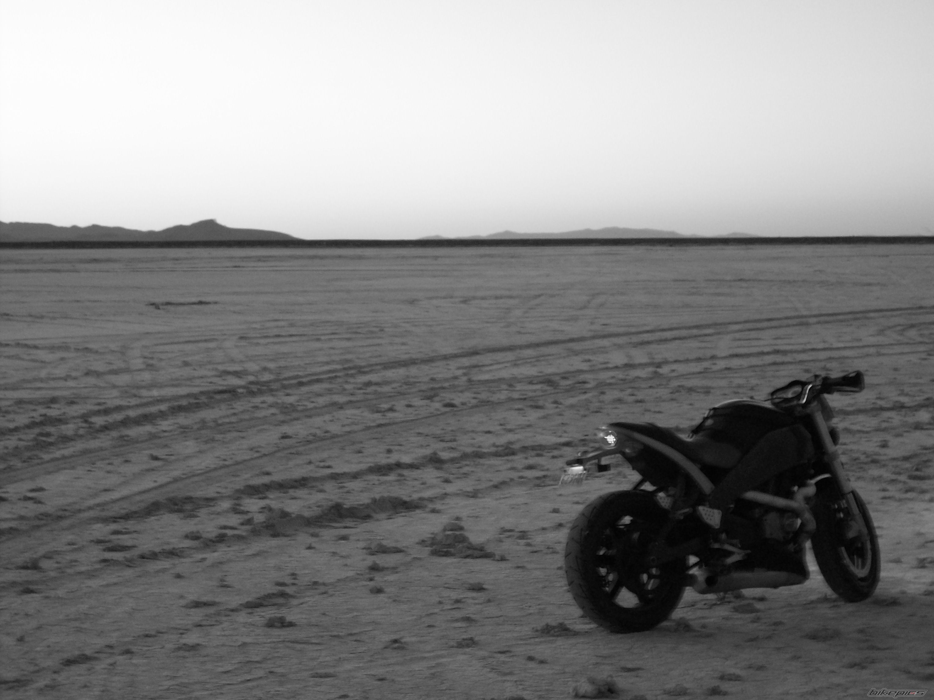 Photo 1461545