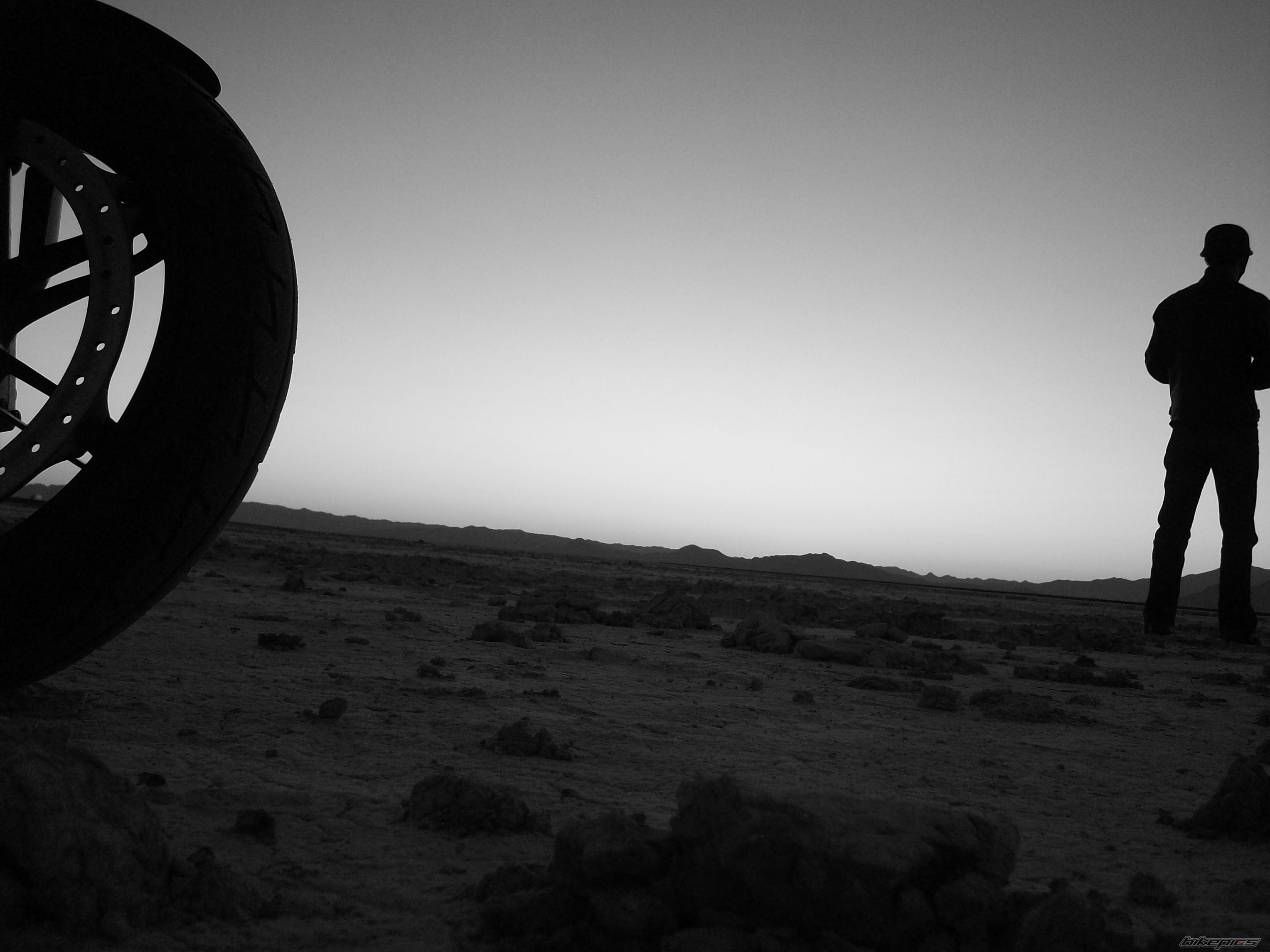 Photo 1461546