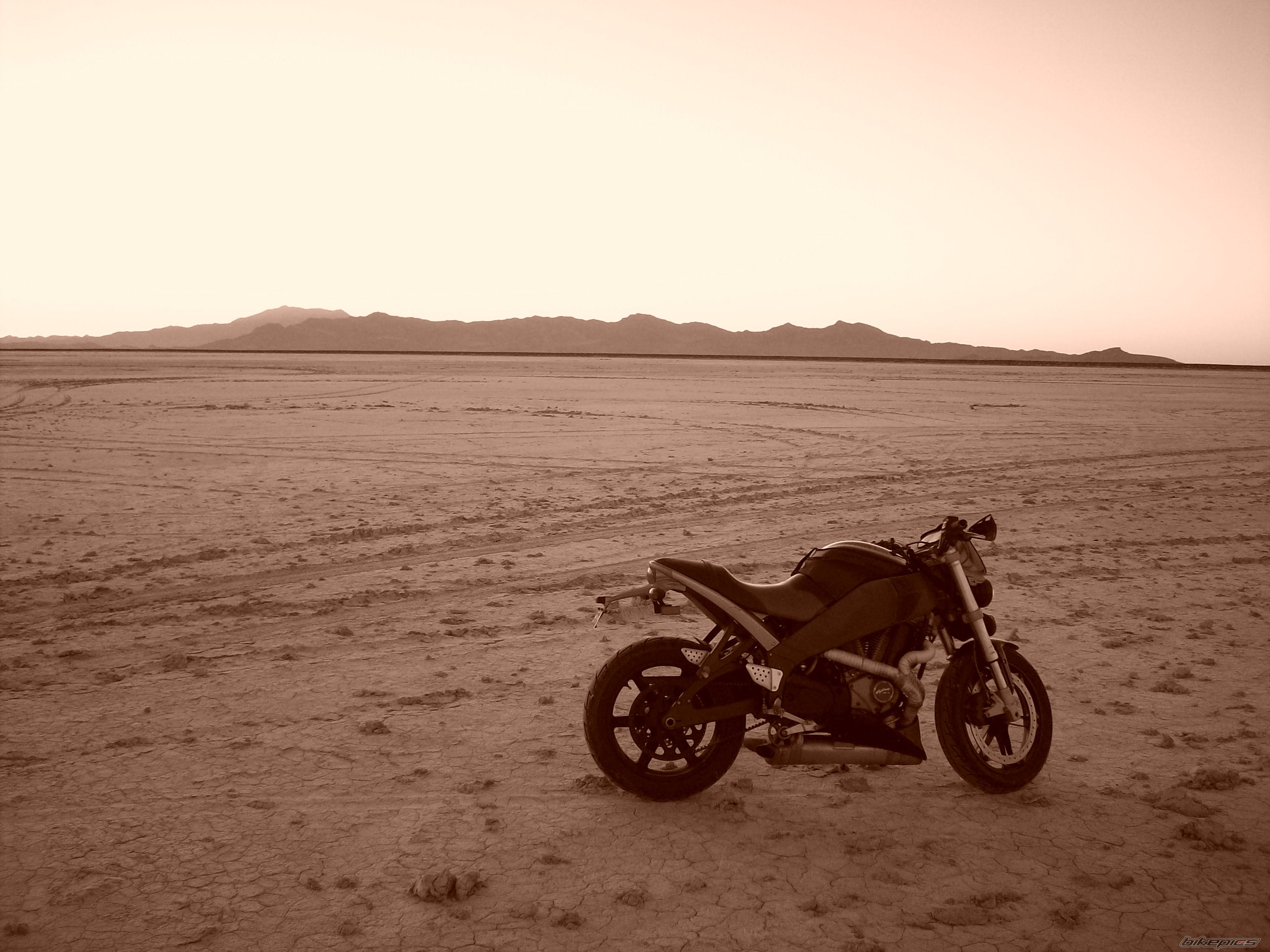 Photo 1461549