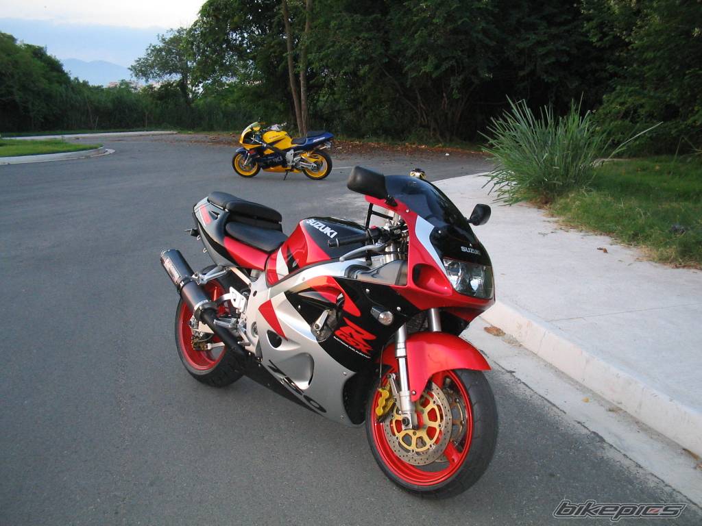 Photo 146156