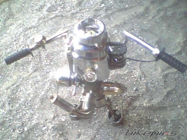 Photo 1461560
