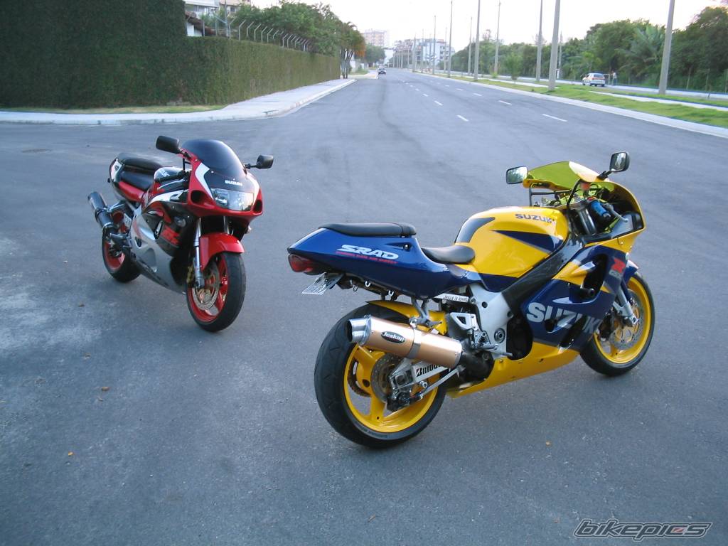 Photo 146157