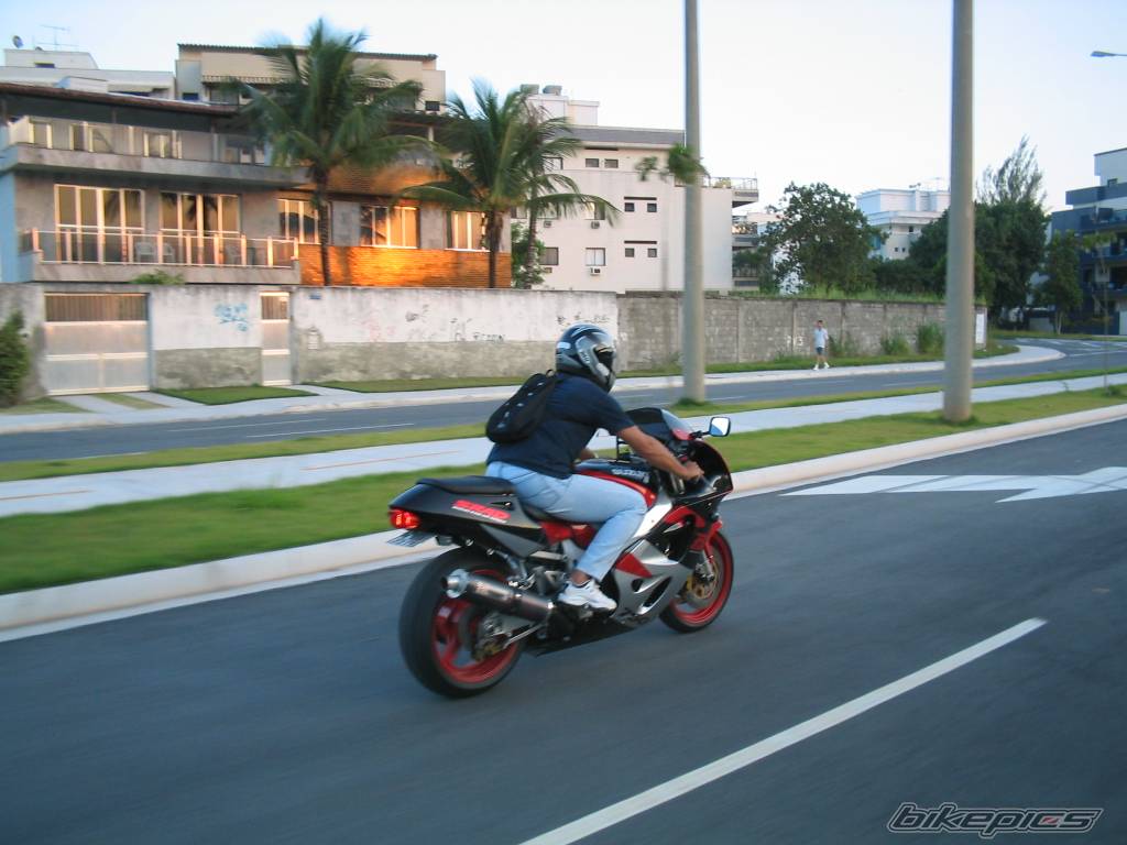 Photo 146158