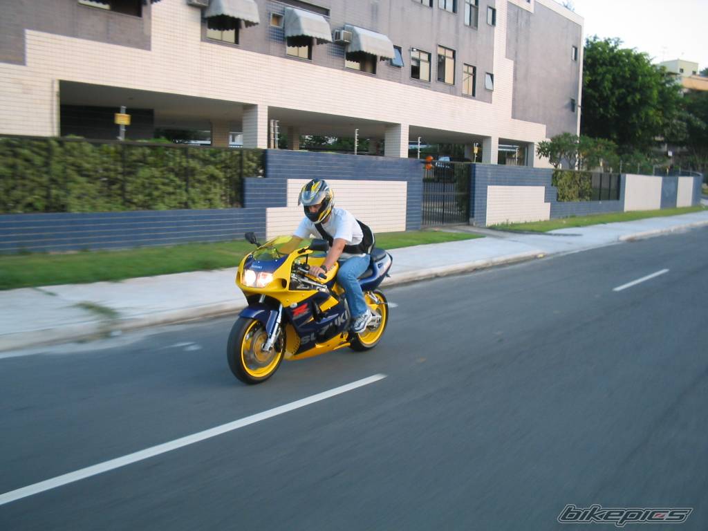 Photo 146159