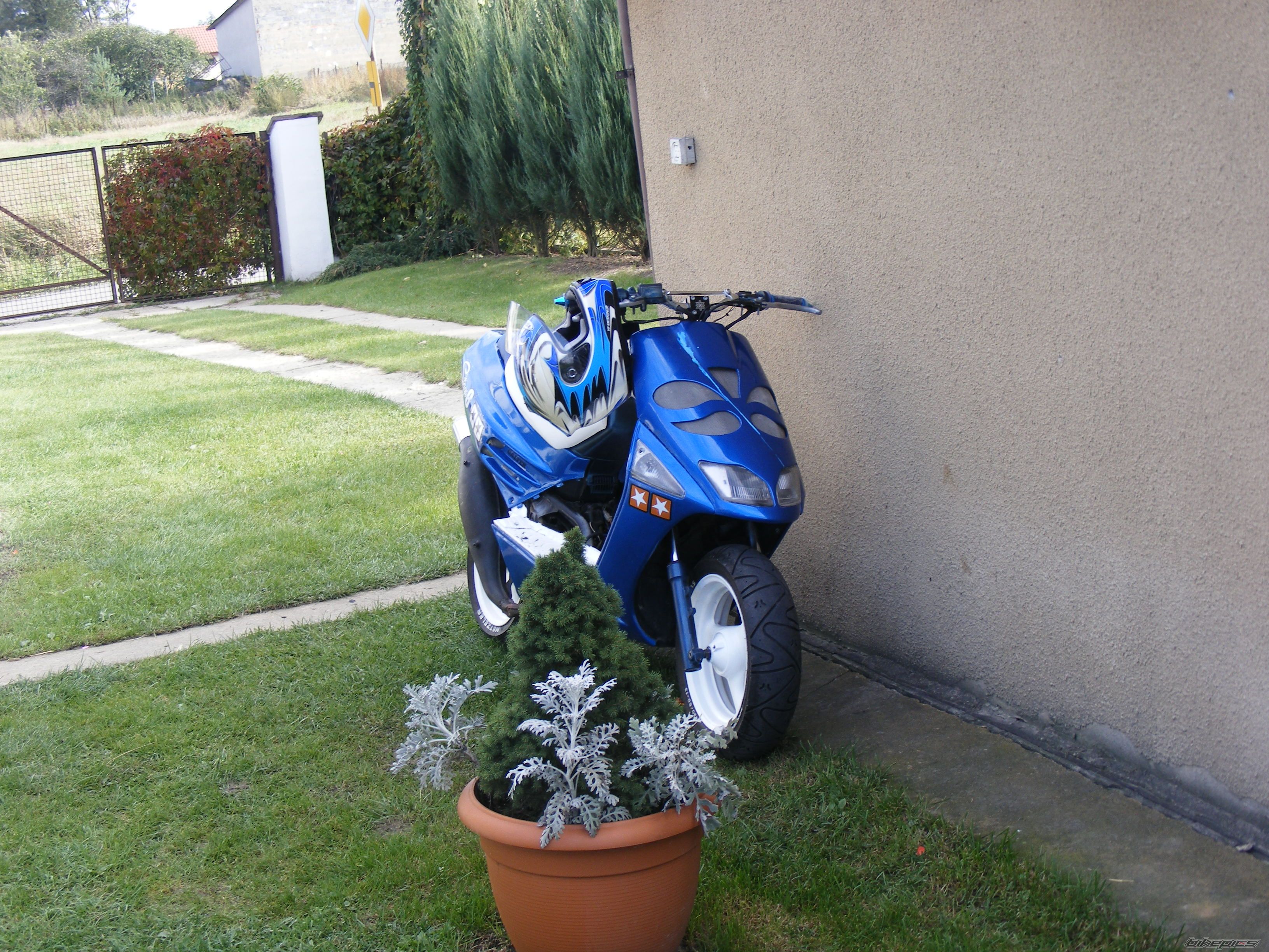 Photo 1461608