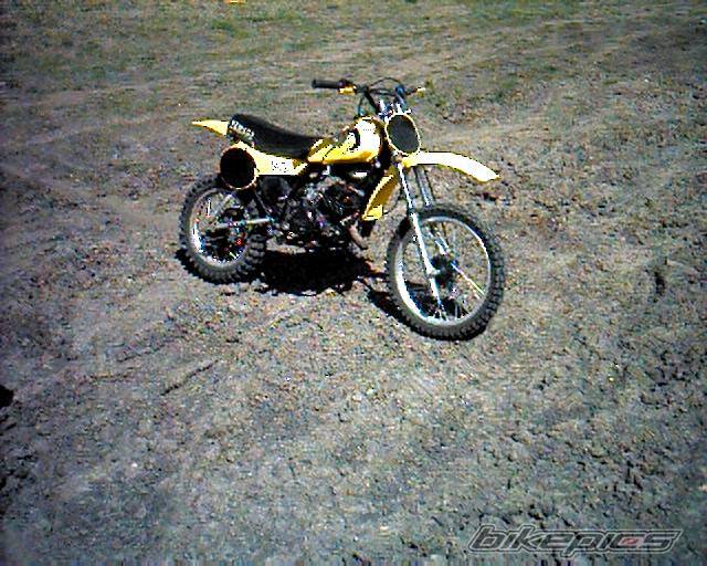 Photo 146161