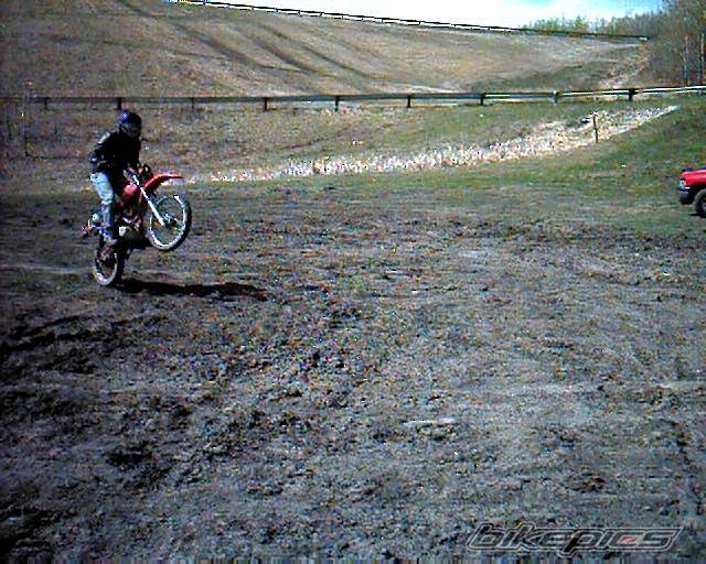 Photo 146166