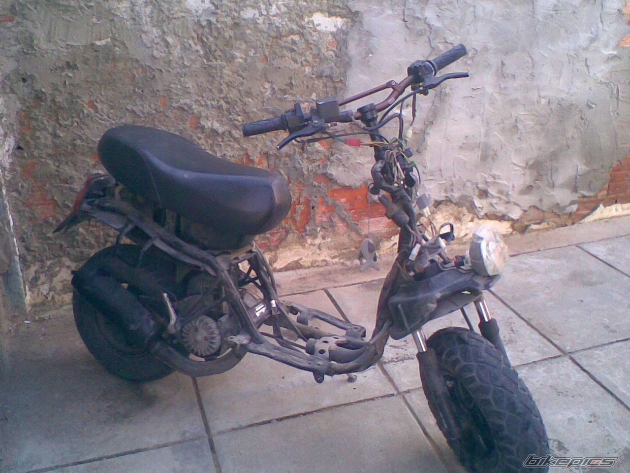 Photo 1461675