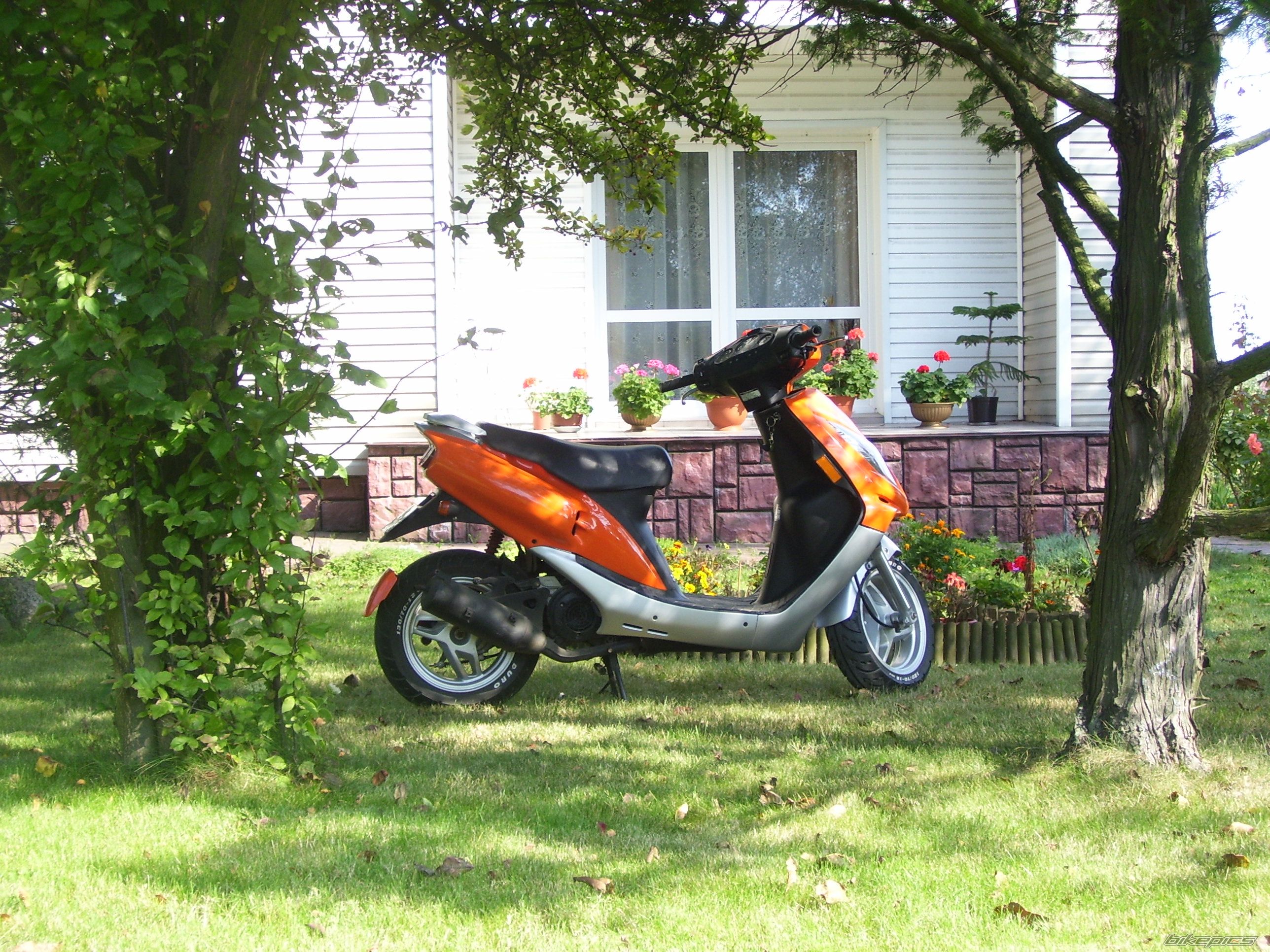 Photo 1461747
