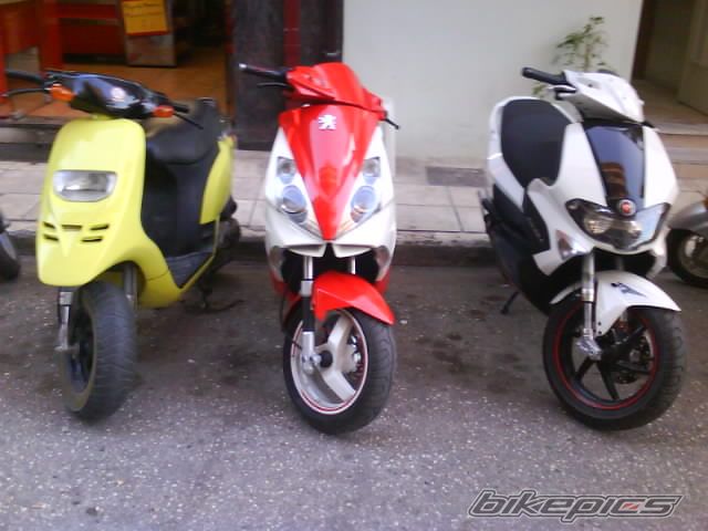 Photo 1461751