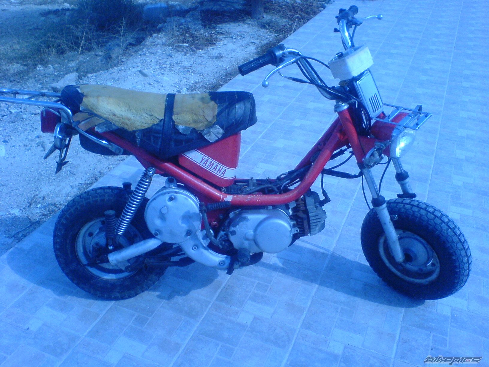 Photo 1461753