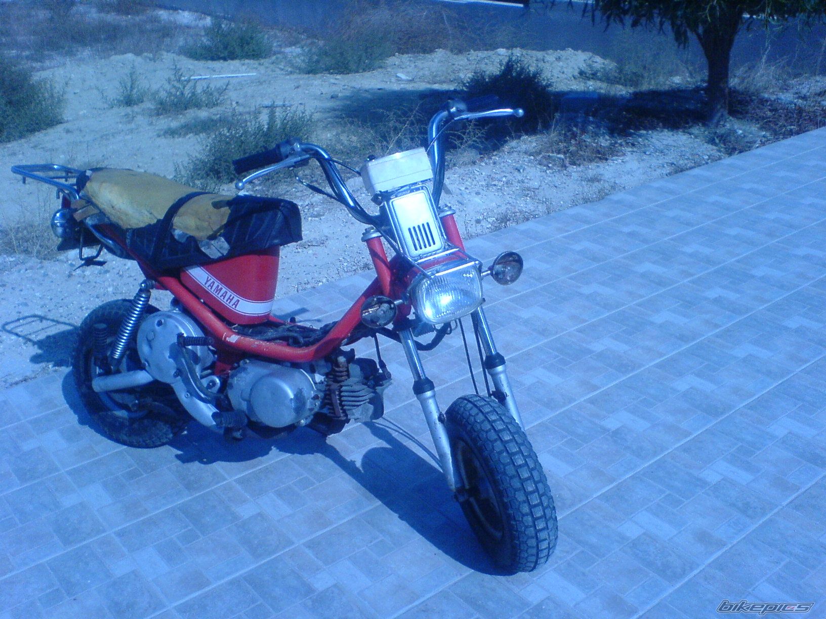 Photo 1461756