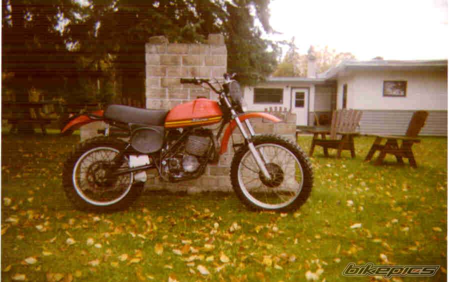 Photo 146176