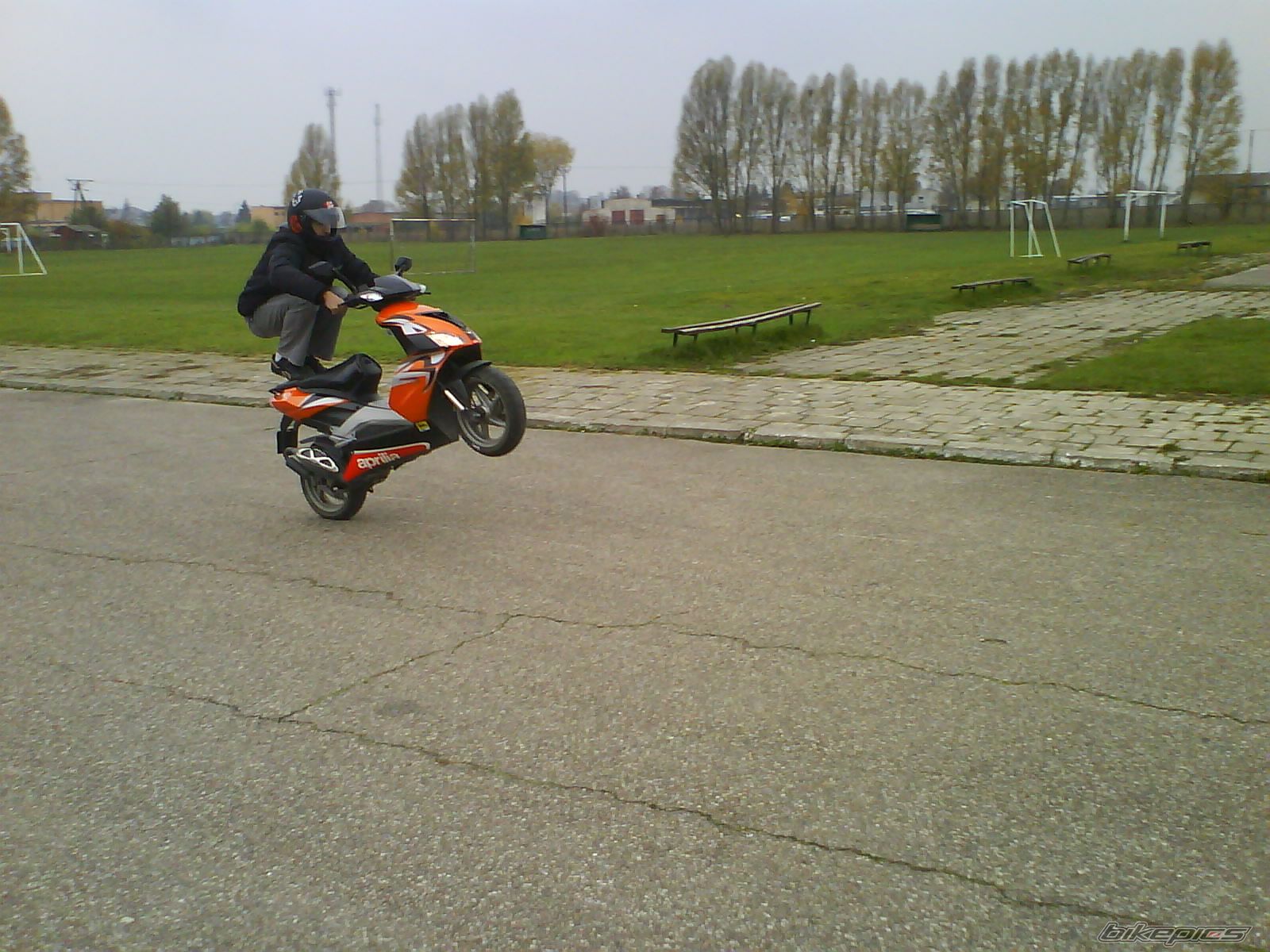 Photo 1461762